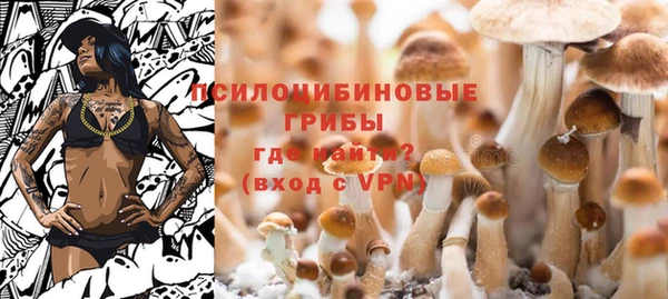 ГАЛЛЮЦИНОГЕННЫЕ ГРИБЫ Алексин