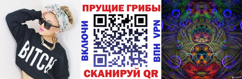 Галлюциногенные грибы GOLDEN TEACHER  наркошоп  Дзержинский 