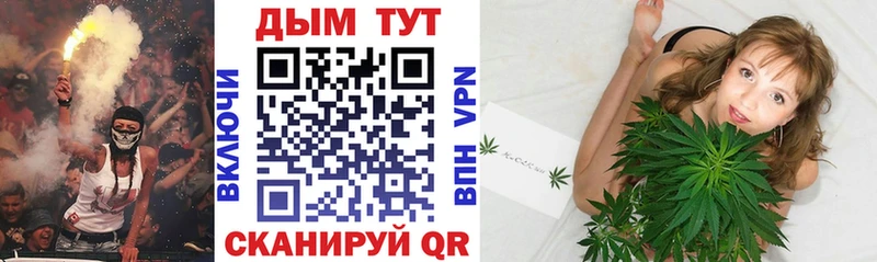 Конопля SATIVA & INDICA  Дзержинский 